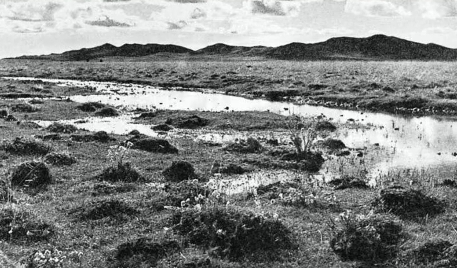 紅軍過草地有多艱險