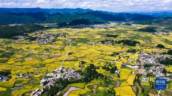 �����Aȫý�^�l���D�Ļ��ӣ���7���İ����hʷ��ȡ��и�^�������������c��ͬ־Մ�h��ʮ�Ō�����ȫ������